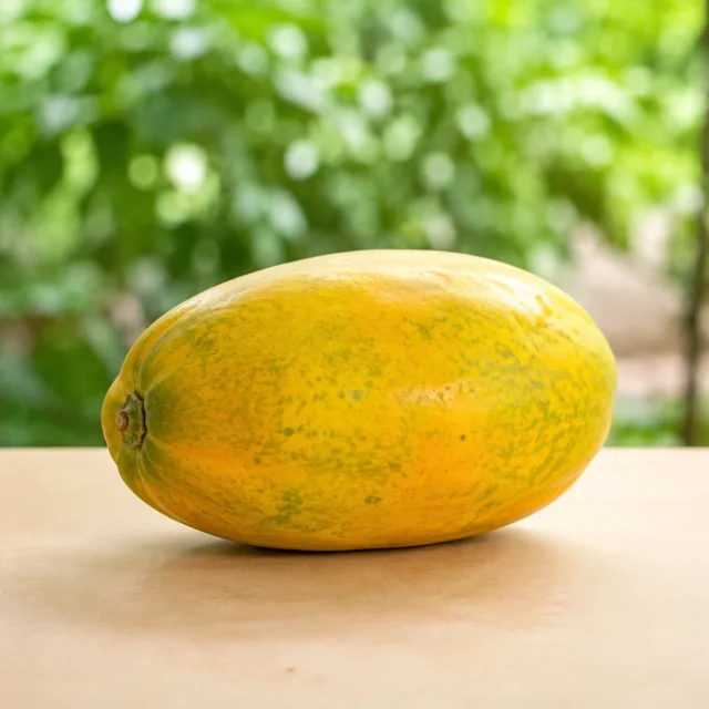 Whole ripe yellow green papaya for the bilingual Papaya and मेवा lesson