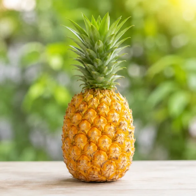 Whole ripe golden yellow pineapple with a green crown for the bilingual Pineapple and भुइँकटहर lesson