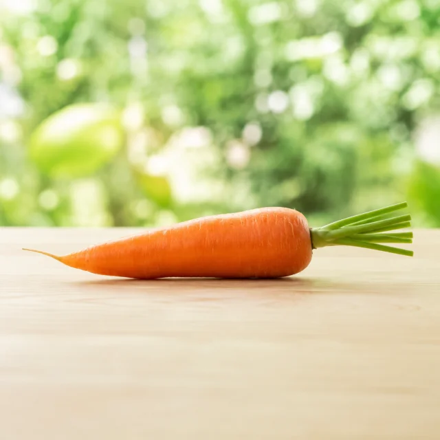 Whole orange carrot with a green leafy top for the bilingual Carrot and गाजर lesson