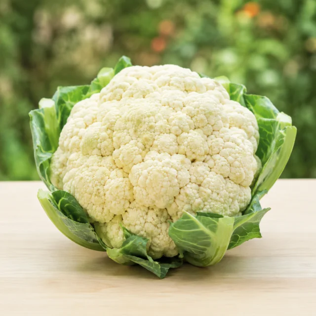 Fresh white cauliflower with green leaves for the bilingual Cauliflower and काउली lesson