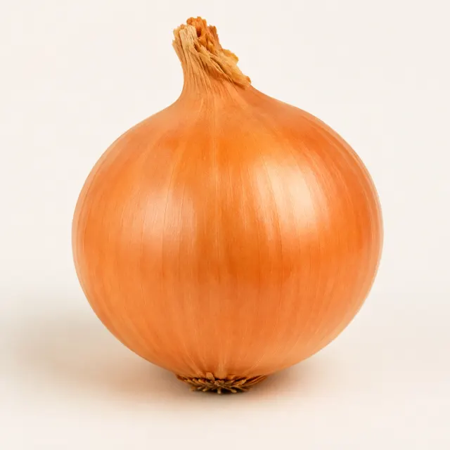 Whole golden-brown onion with papery skin for the bilingual Onion and प्याज lesson