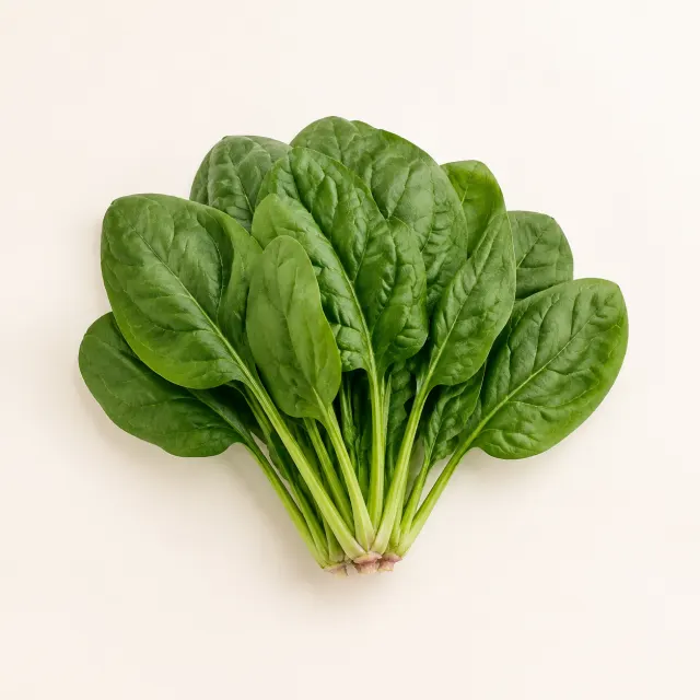 Fresh bunch of green spinach for the bilingual Spinach and पालुङ्गो lesson
